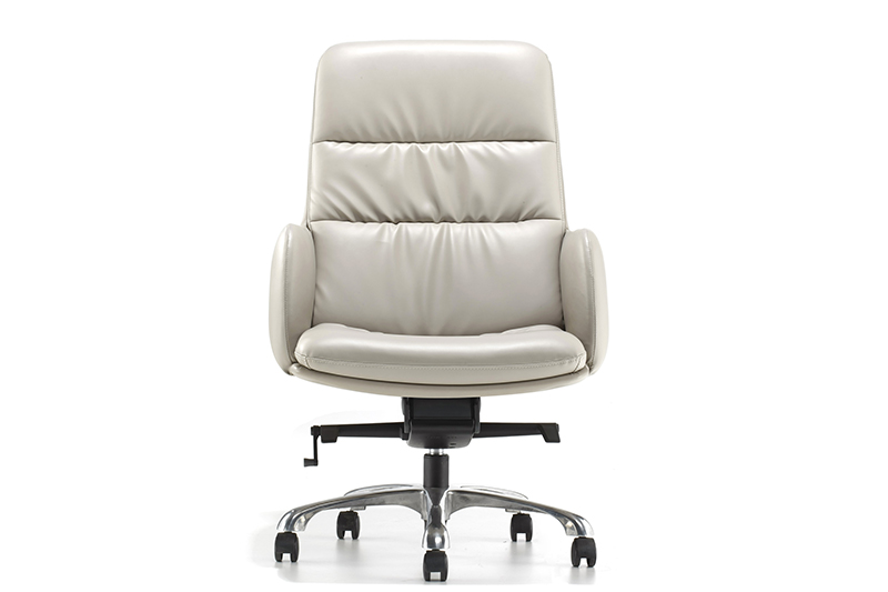 Comfortable Executive Chair BINZ OFFICE CHAIR