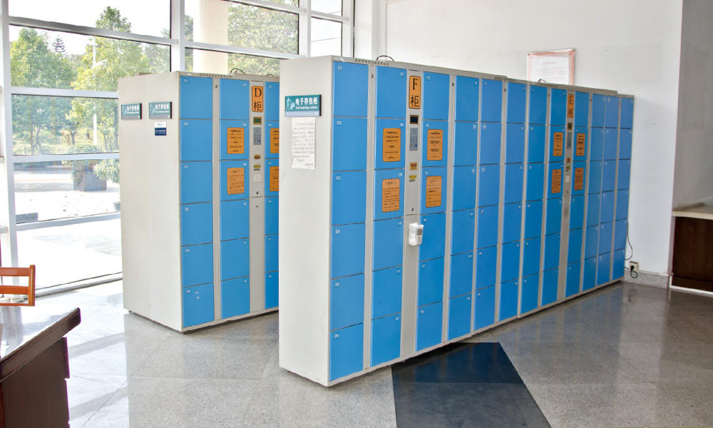 Electronic Storage Cabinet